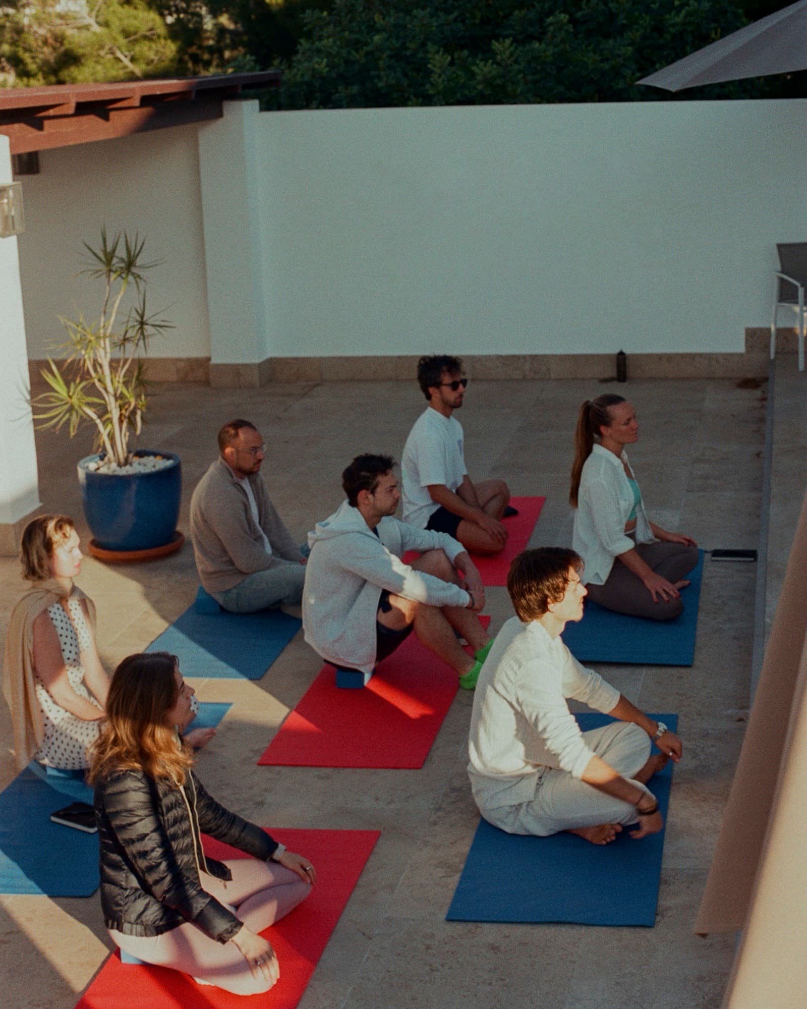 Shared session in a sunny courtyard